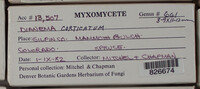 Image Associated With the Occurence